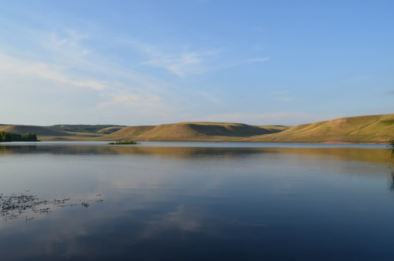 Фото автора.