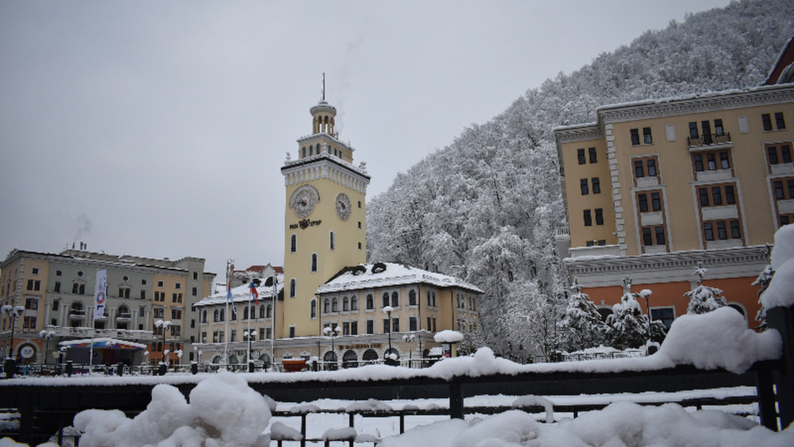 Елены Колоколовой.