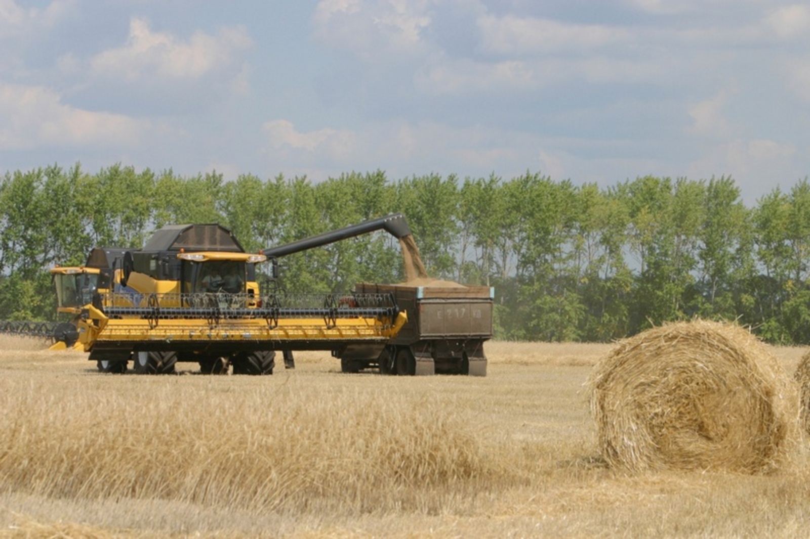 Фото Олега Яровикова.