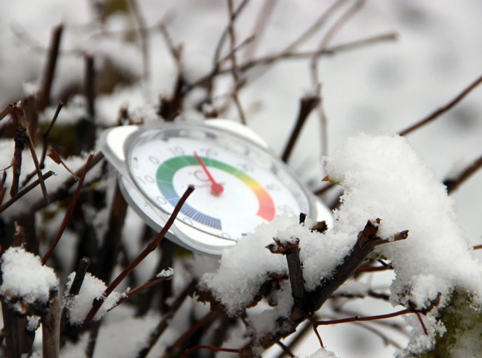 Фото: ИА «Башинформ».