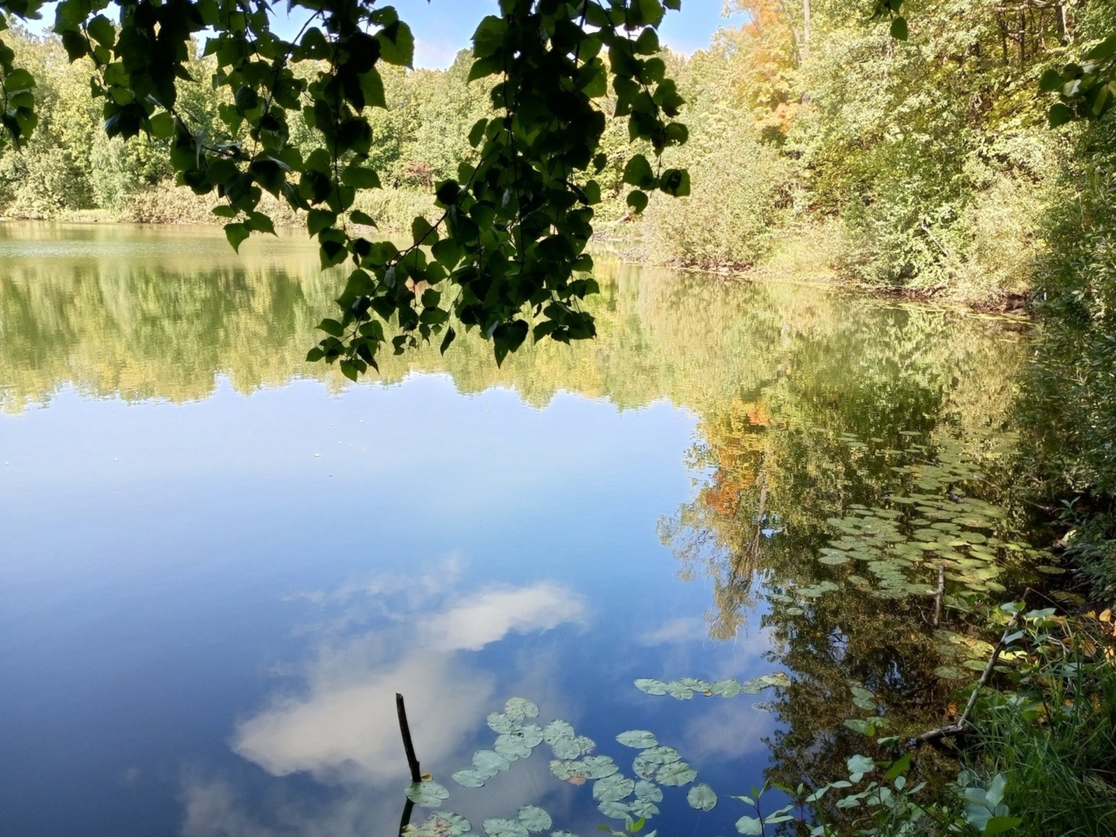 Евгении Сюткиной.