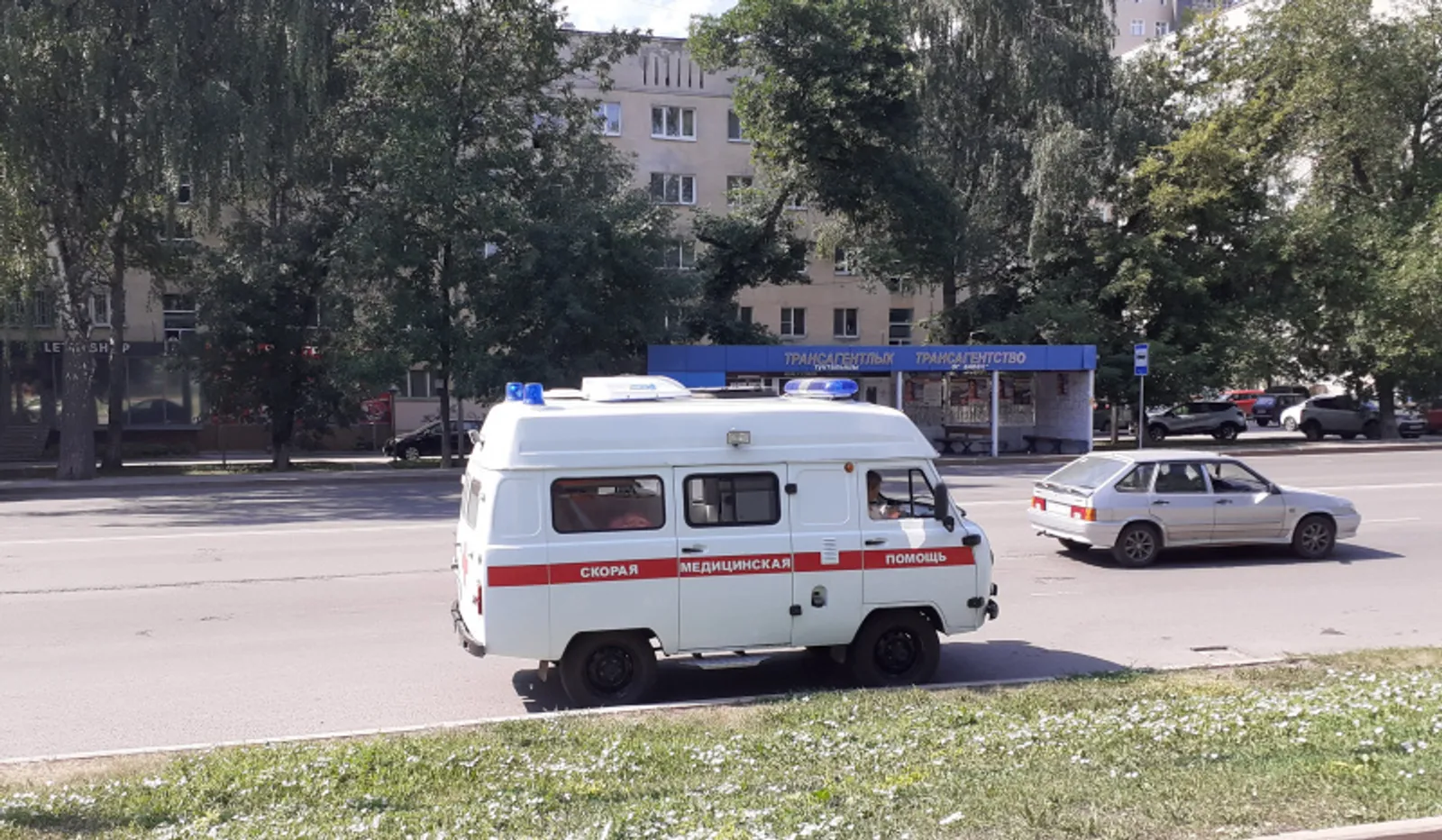 Фото автора.