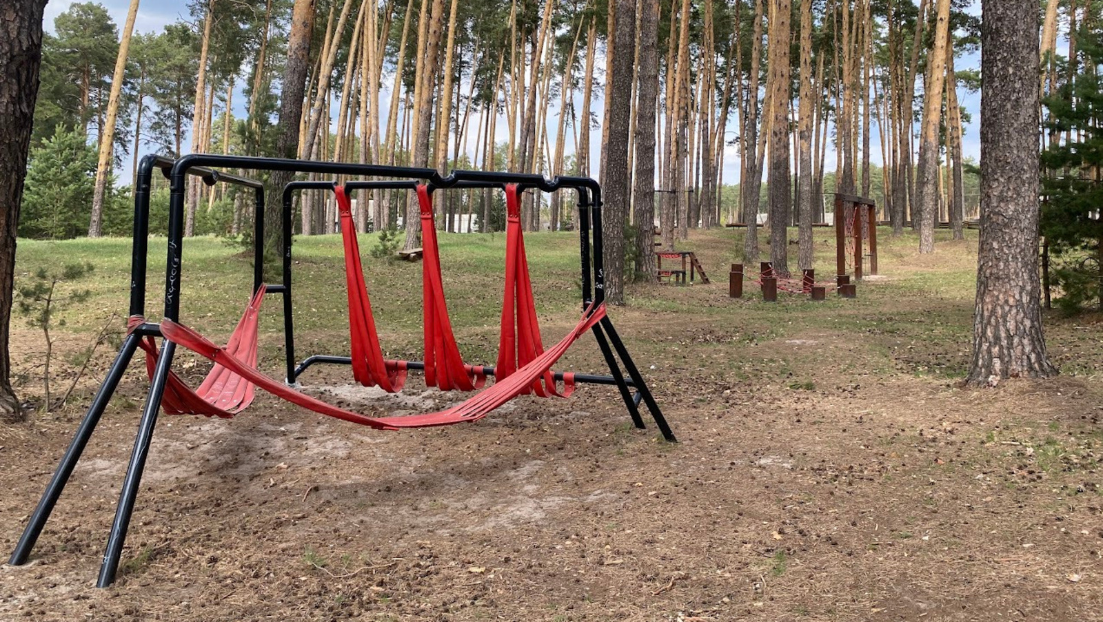 Елены Колоколовой.