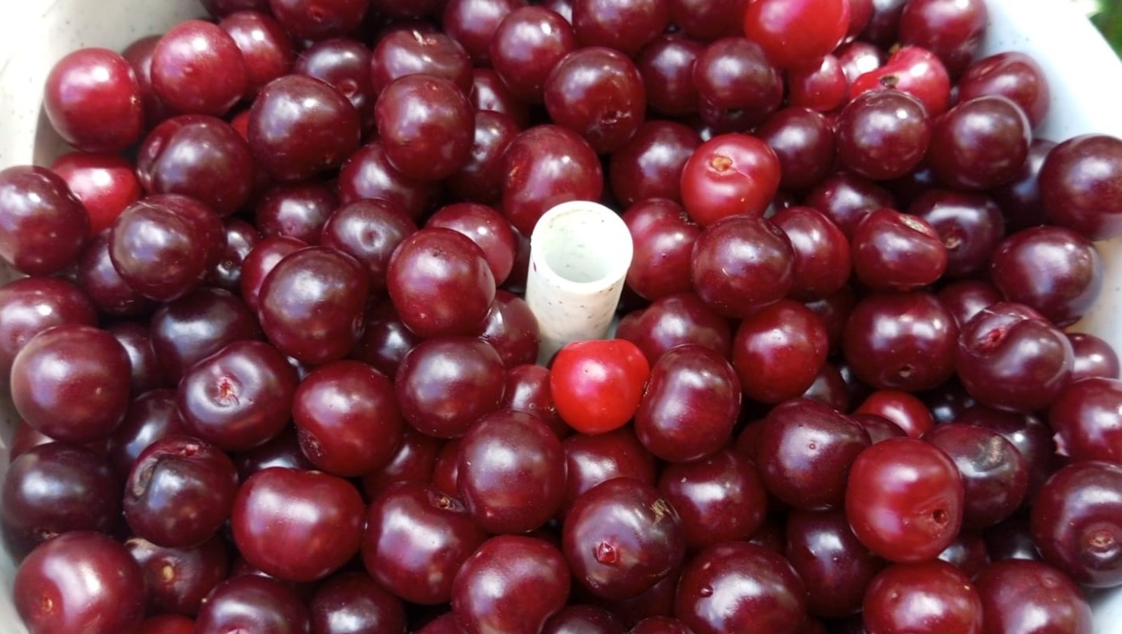 Евгении Сюткиной.