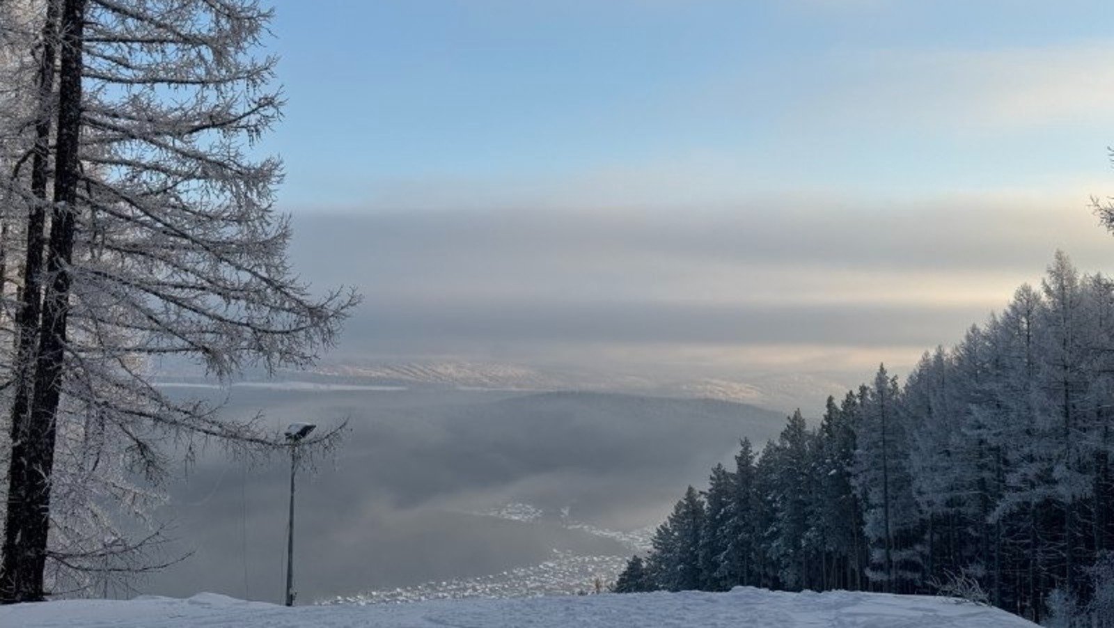 Елены Колоколовой. «Общественная электронная газета».