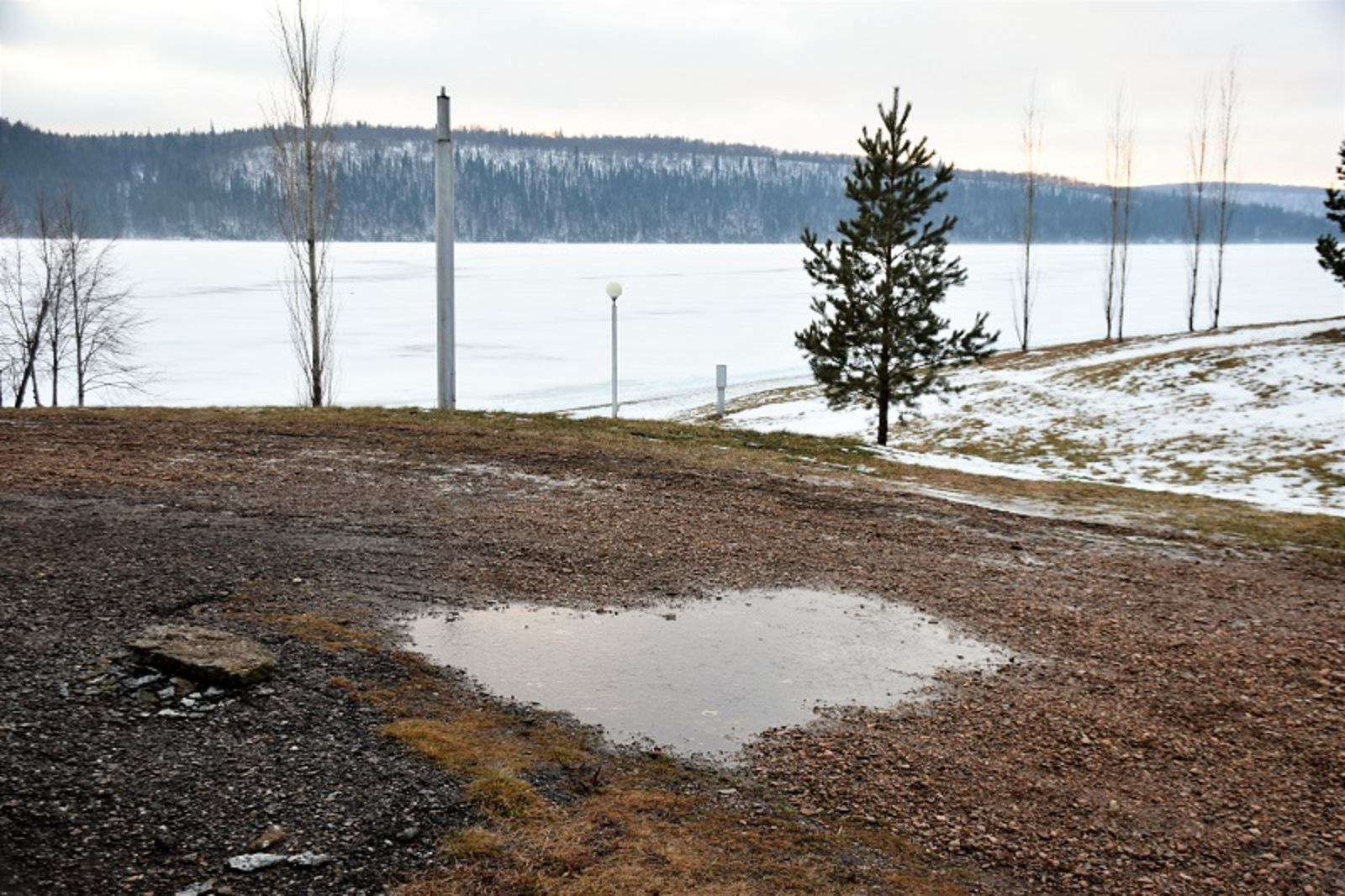 Фото Елены Колоколовой.