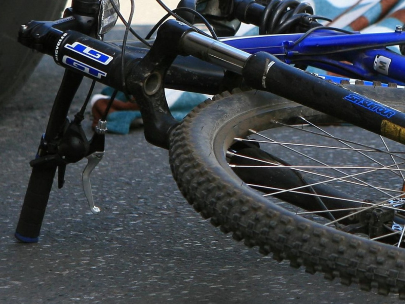 Фото Андрея Старостина.