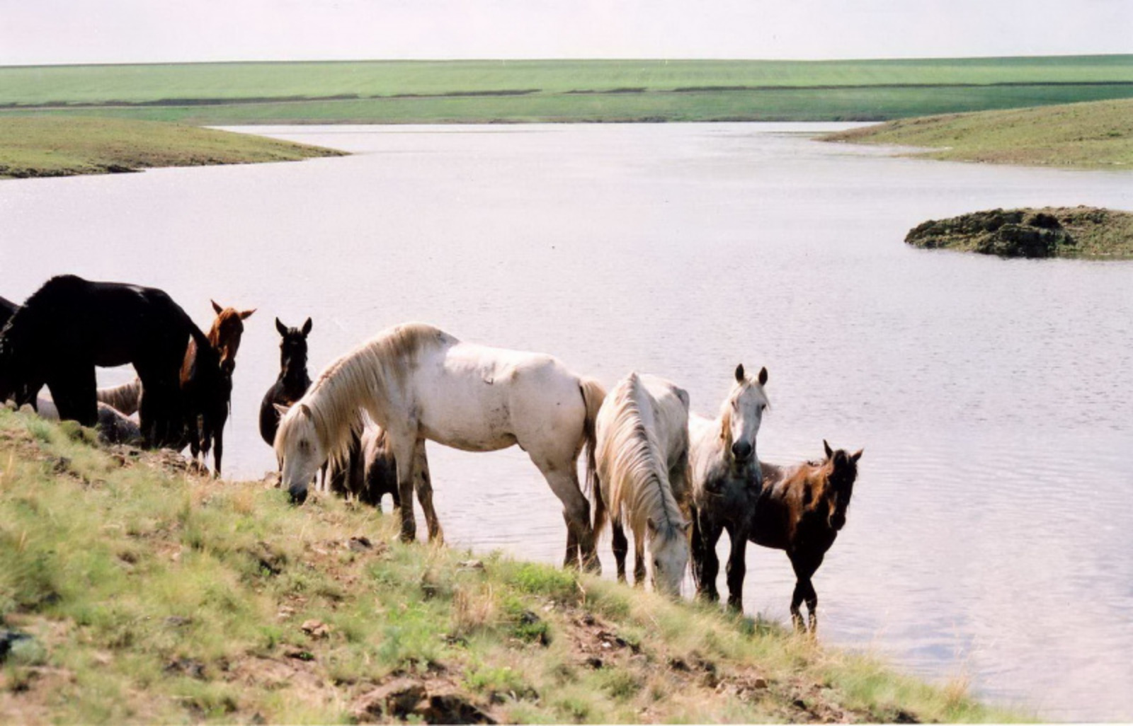 Фото Олега Яровикова.