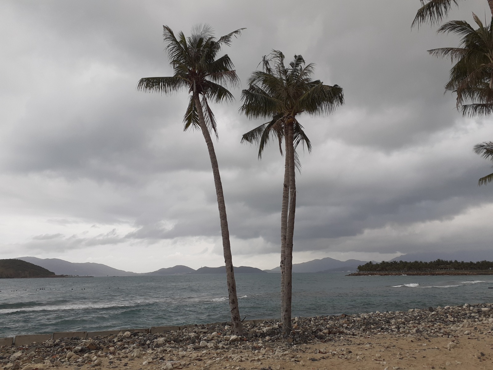 Владимира Шакиева. «Общественная электронная газета».