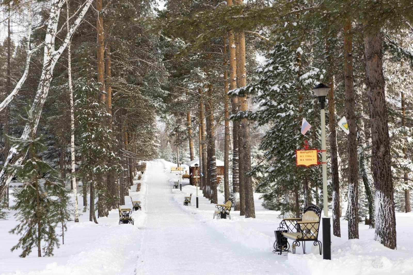 Евгении Сюткиной.