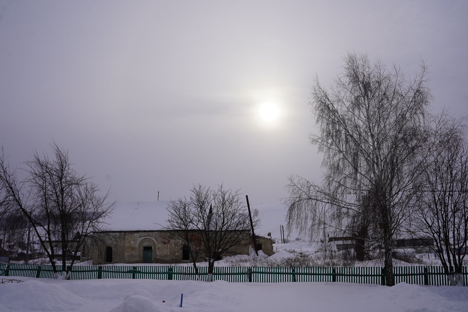 Евгении Сюткиной. «Общественная электронная газета».