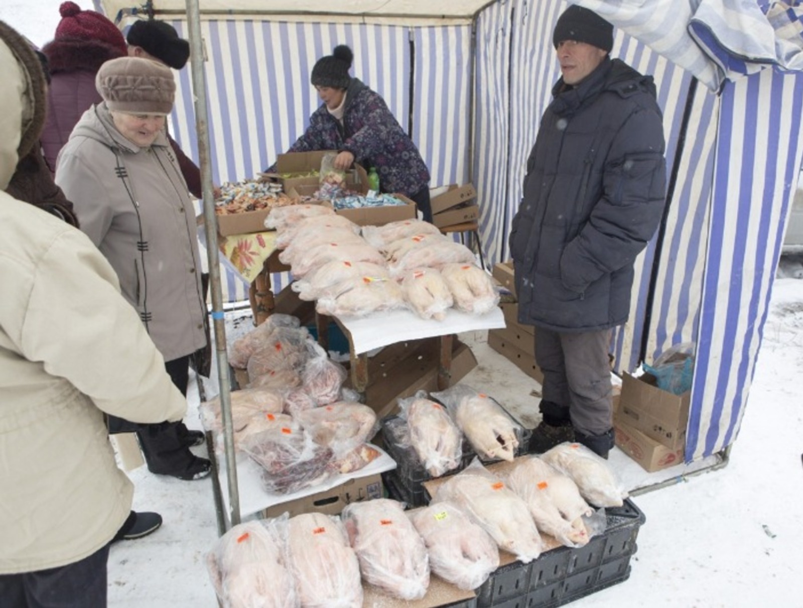 Евгении Сюткиной.