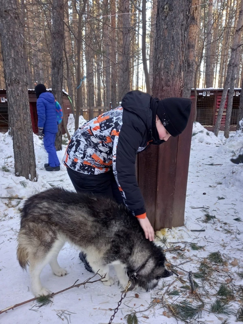 Елены Колоколовой.