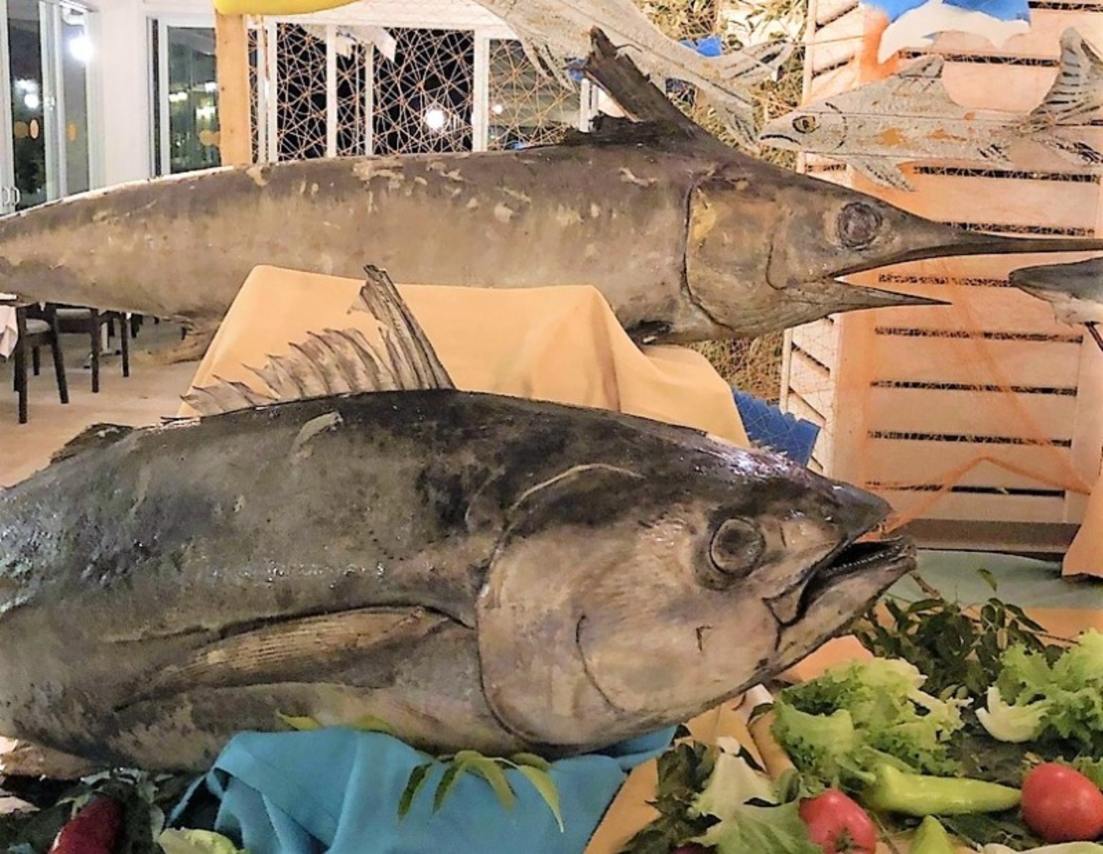 Елены Колоколовой.