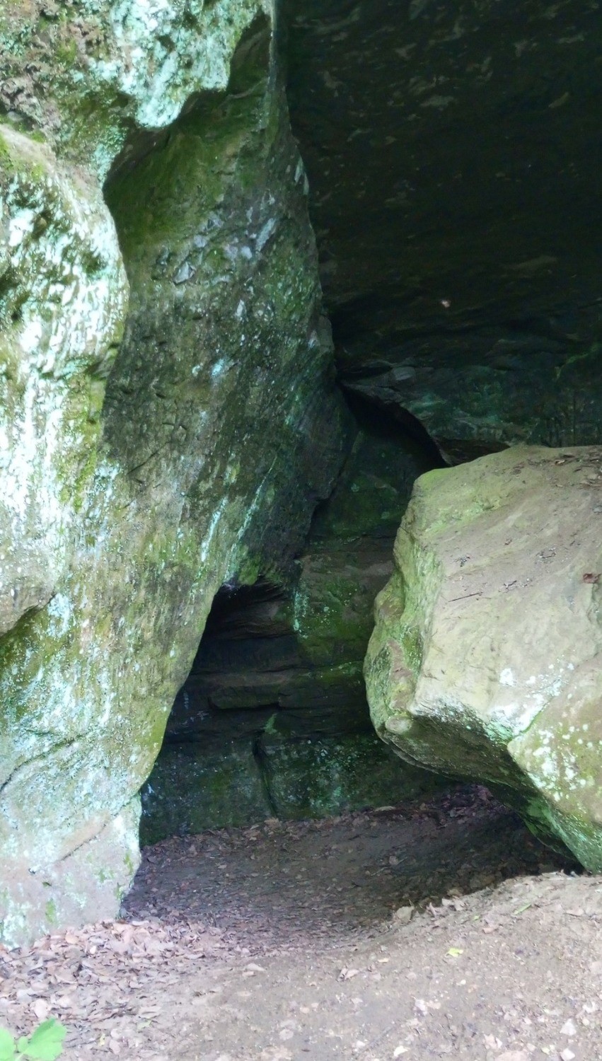 Евгении Сюткиной.