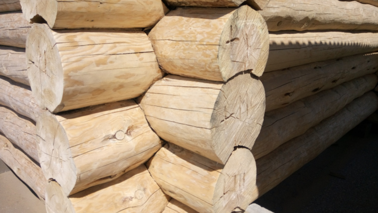 Фото Васили Саитовой.