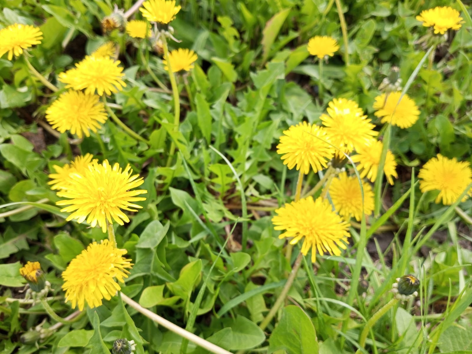 Евгении Сюткиной.