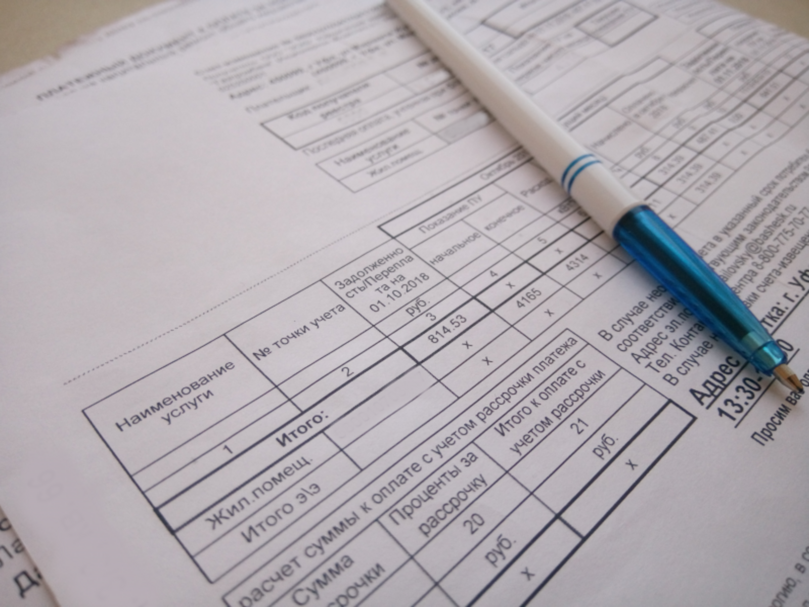 Фото Васили Саитовой.