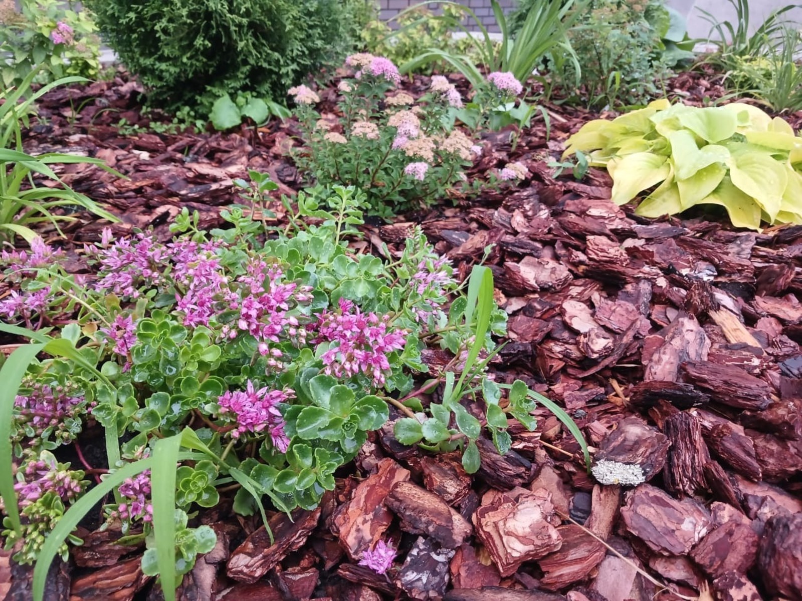 Васили Саитовой.