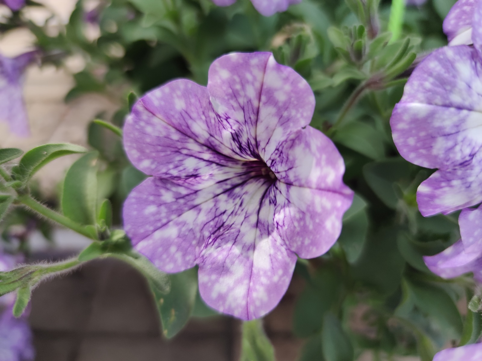 Дарьи Святохиной.