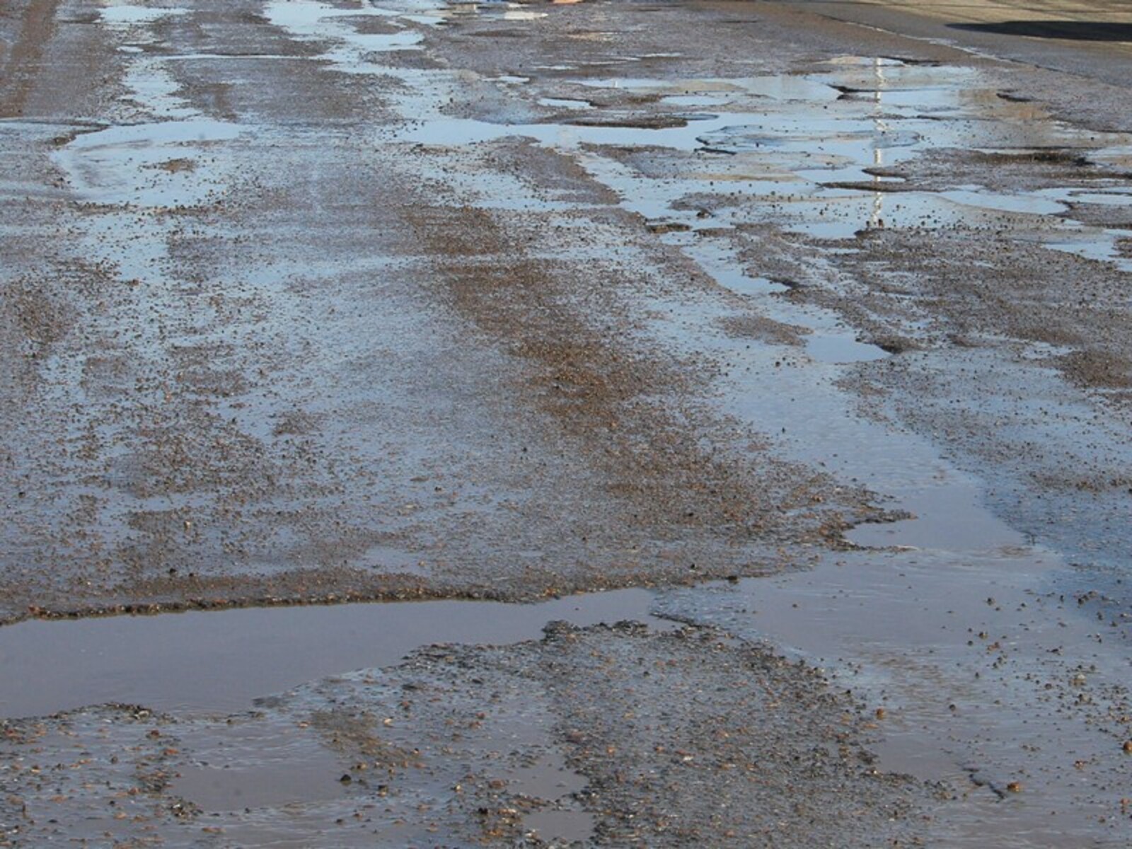 Фото Олега Яровикова.