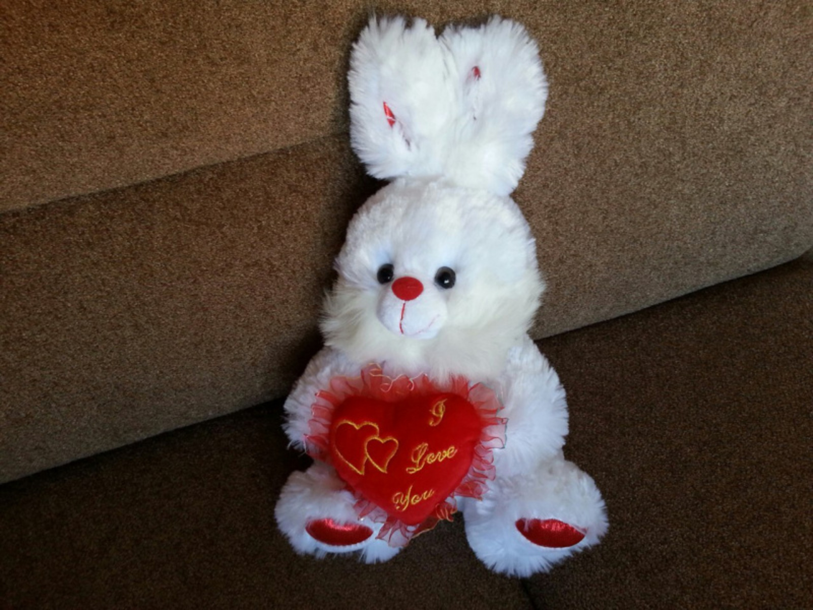 Фото Дарьи Святохиной.