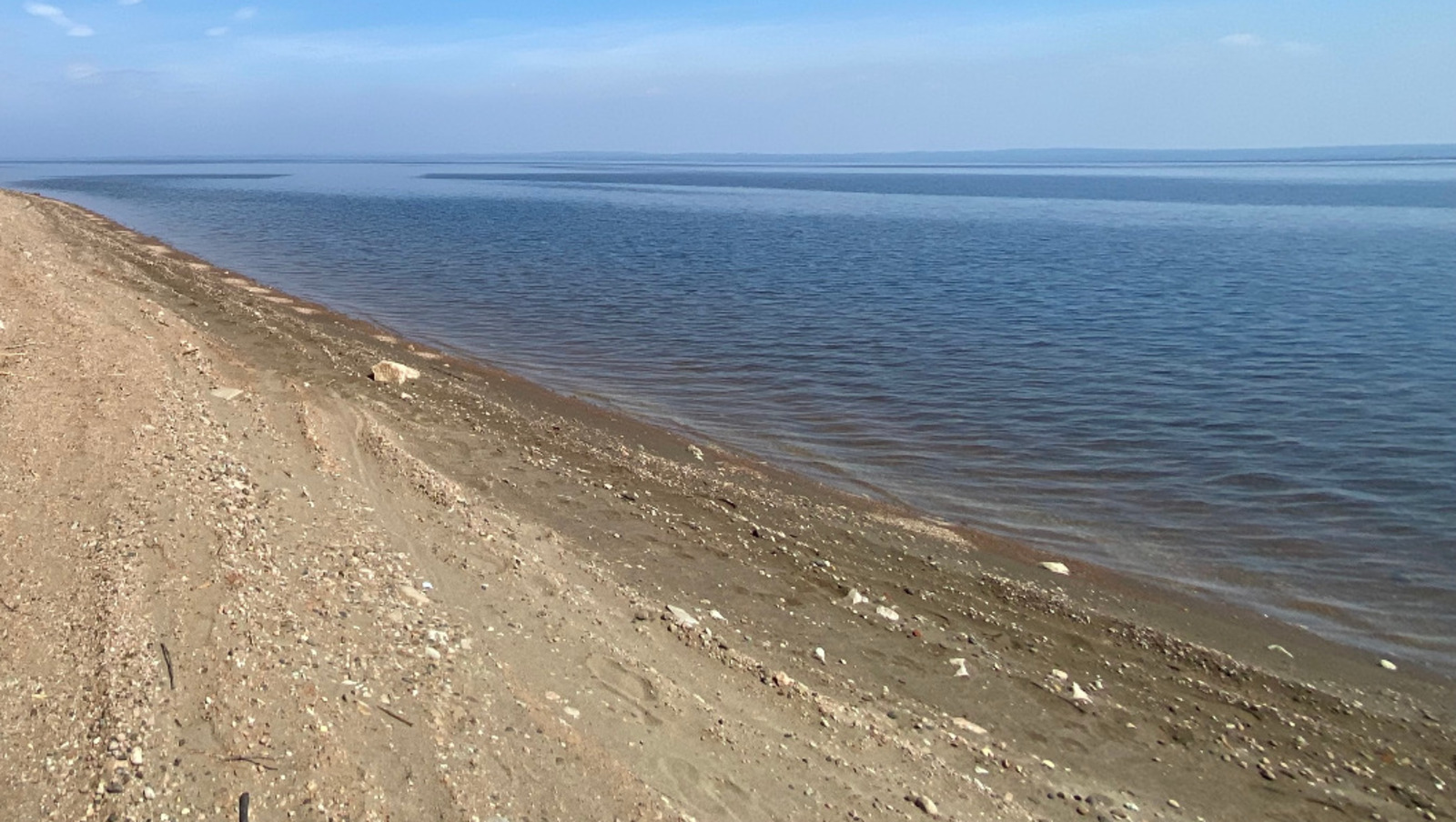 Елены Колоколовой.