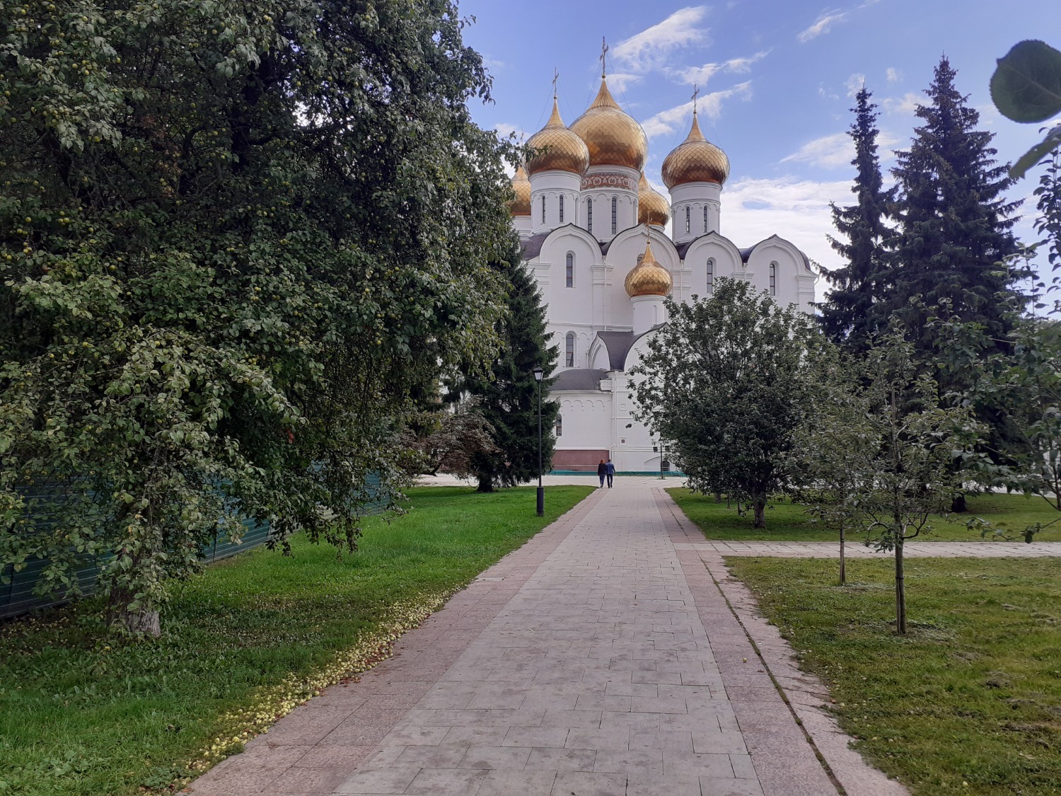 Владимира Шакиева.