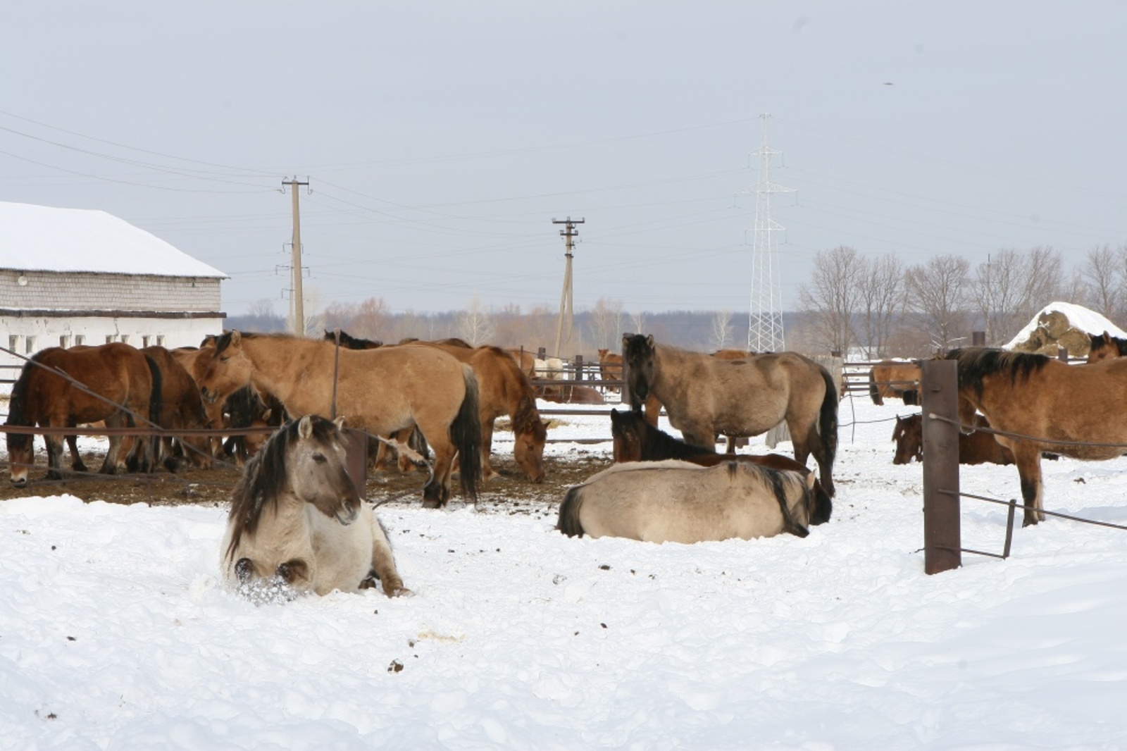 Фото Андрея Старостина.
