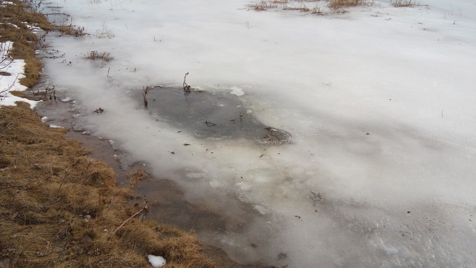 Евгении Сюткиной.