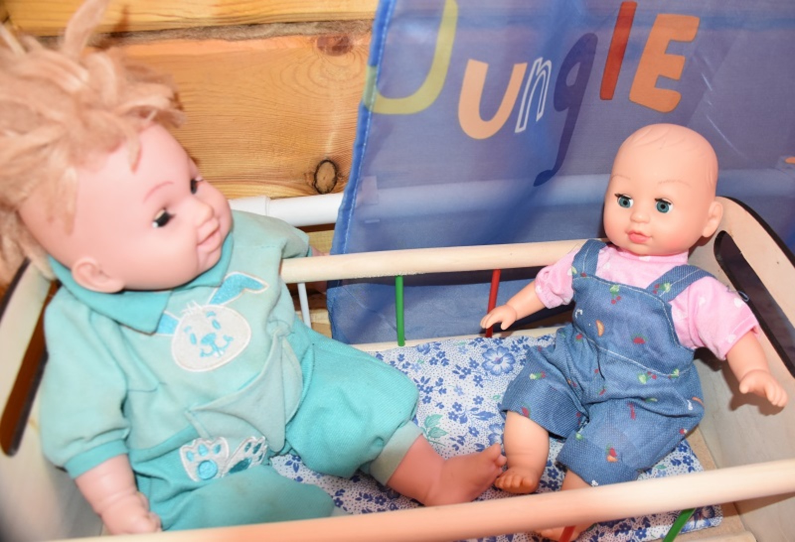 Фото Васили Саитовой.