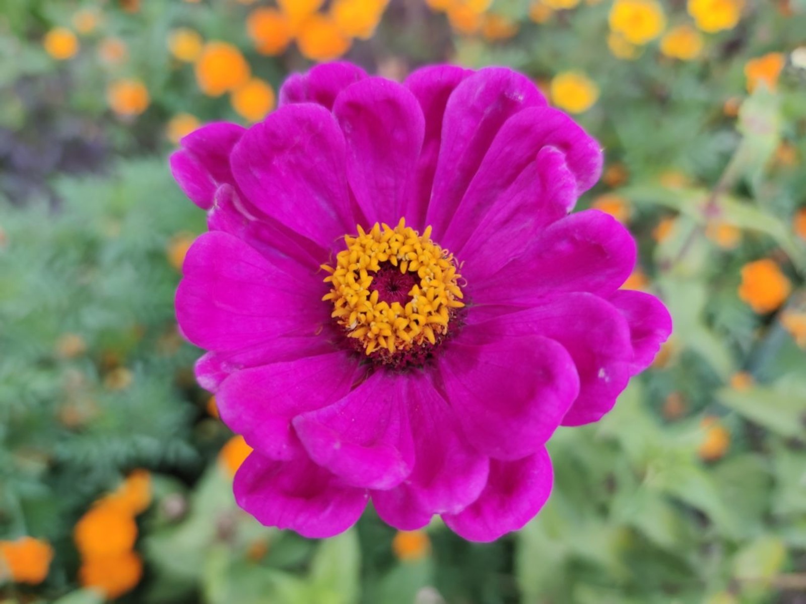 Дарьи Святохиной.