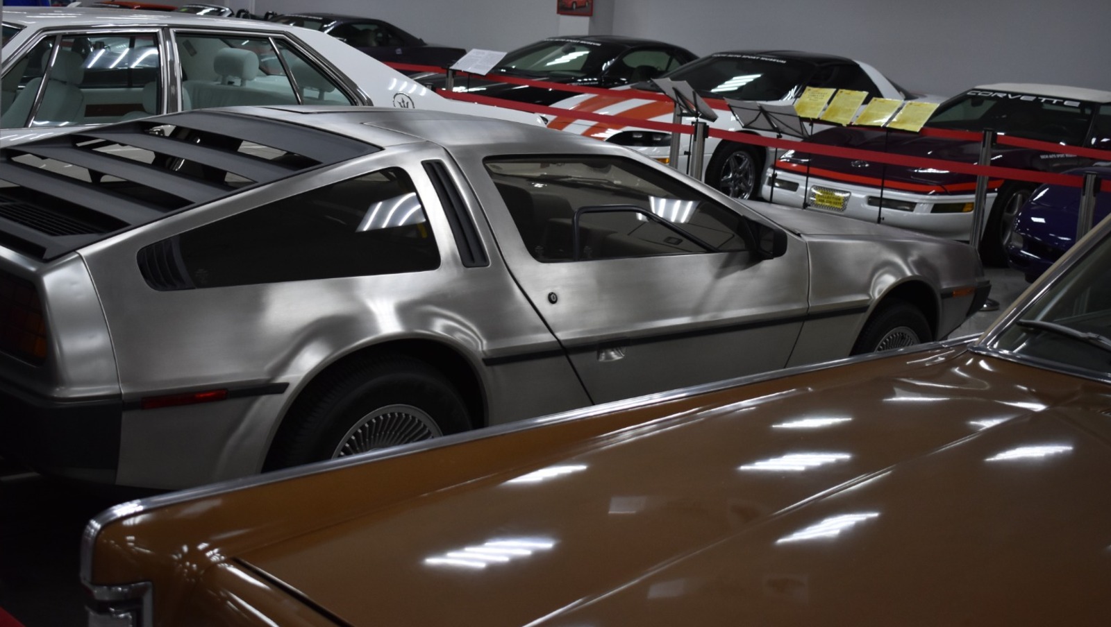 Елены Колоколовой.