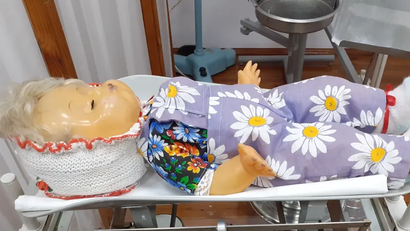 Владимира Шакиева.
