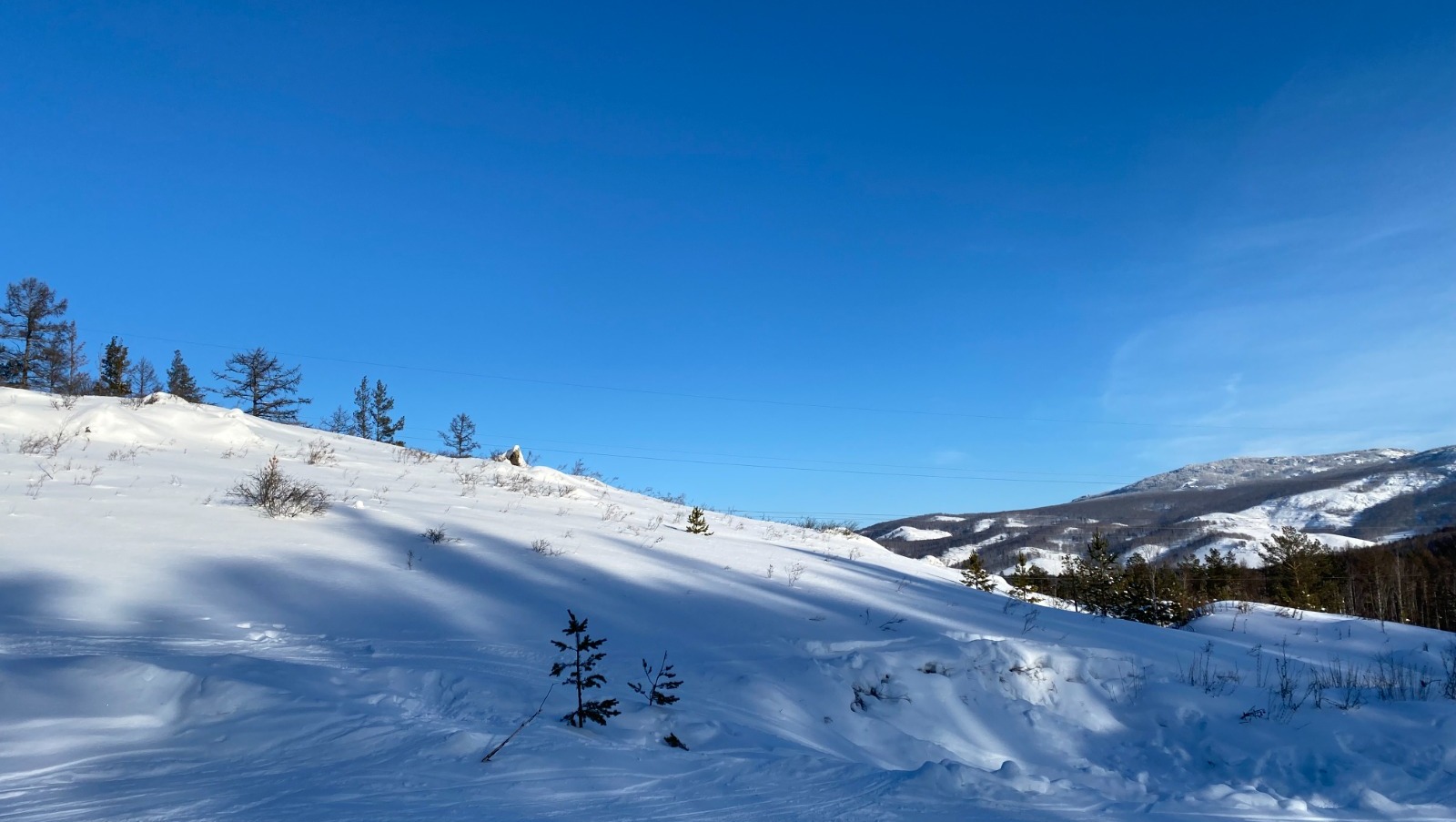 Елены Колоколовой.