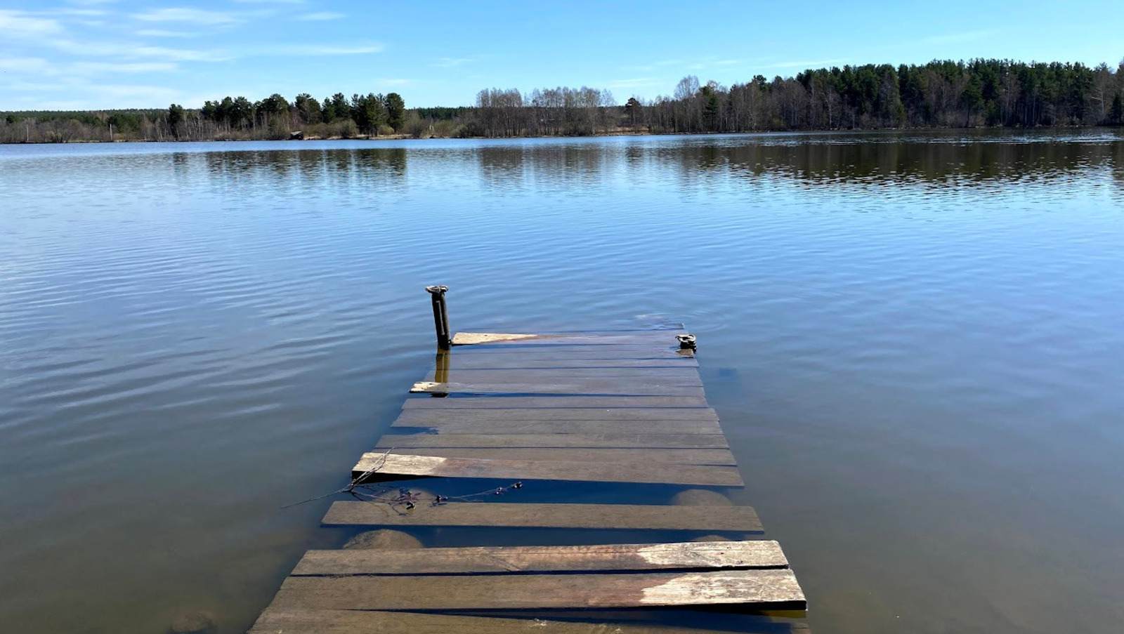 Елены Колоколовой.