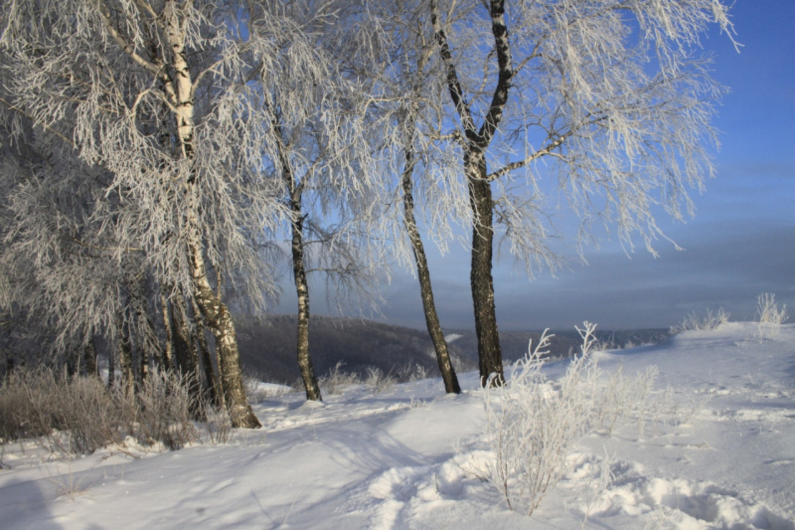 Фото Фаиля Абсатарова.