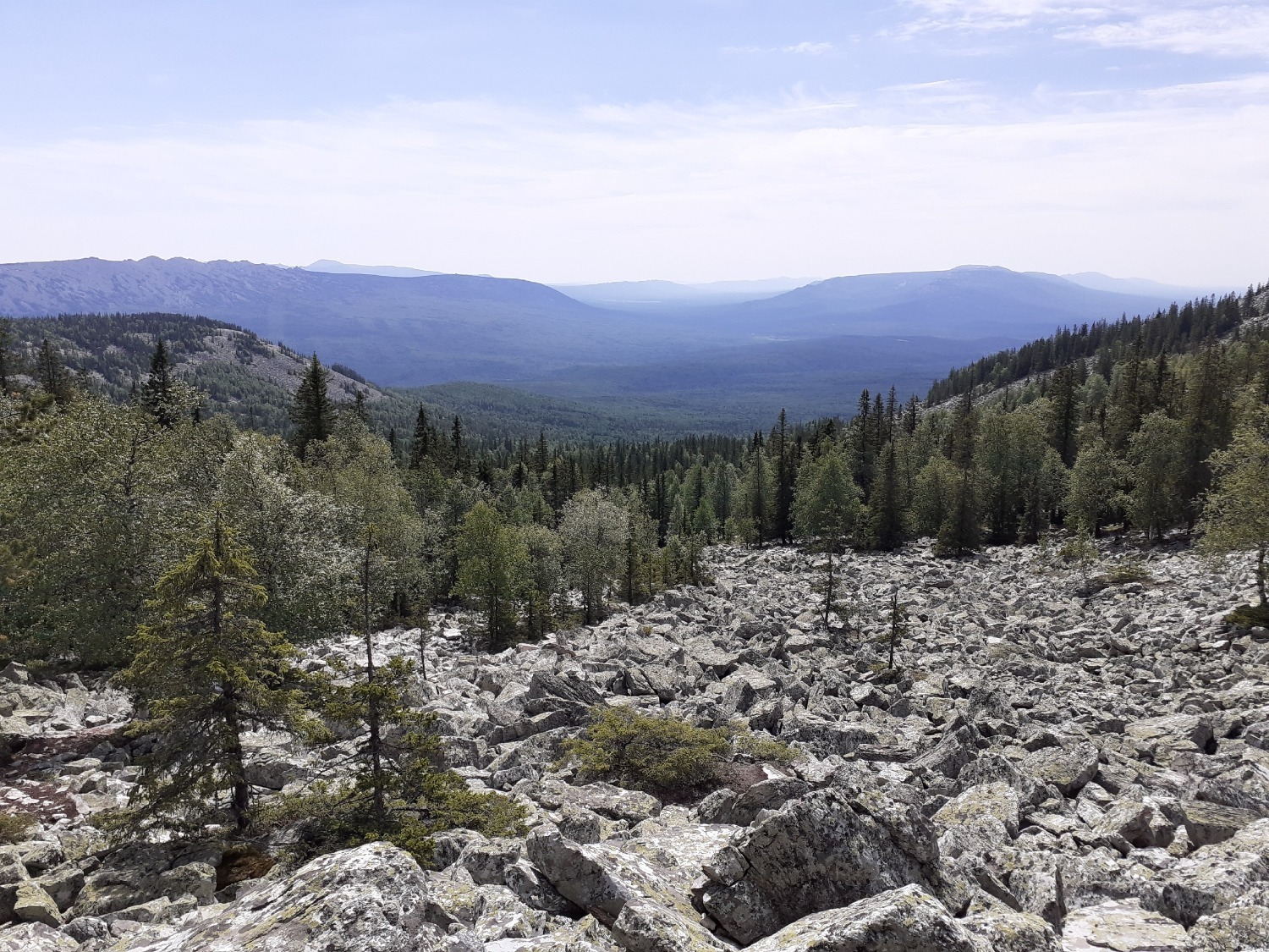 Владимира Шакиева.
