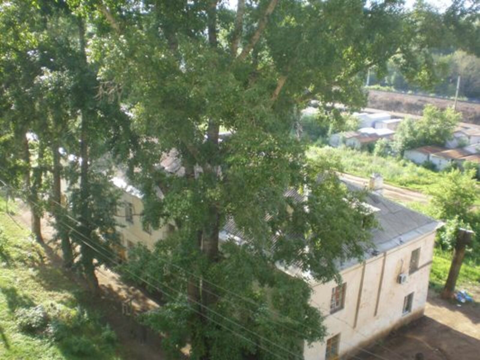 Фото автора.