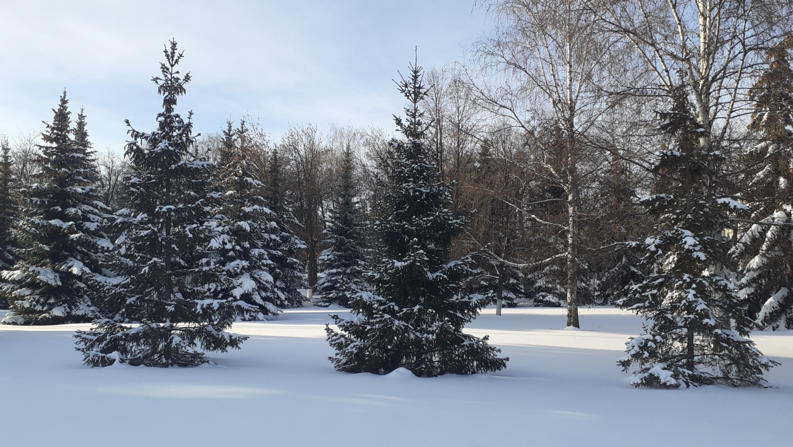 Владимира Шакиева.