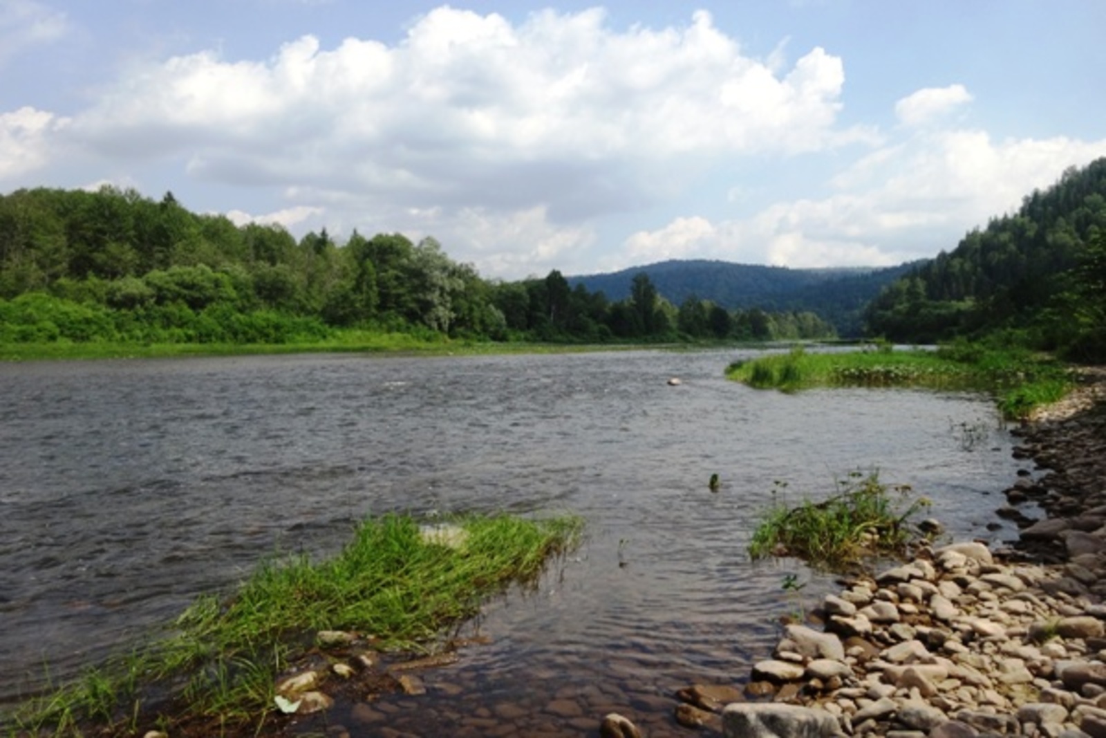 Фото автора.