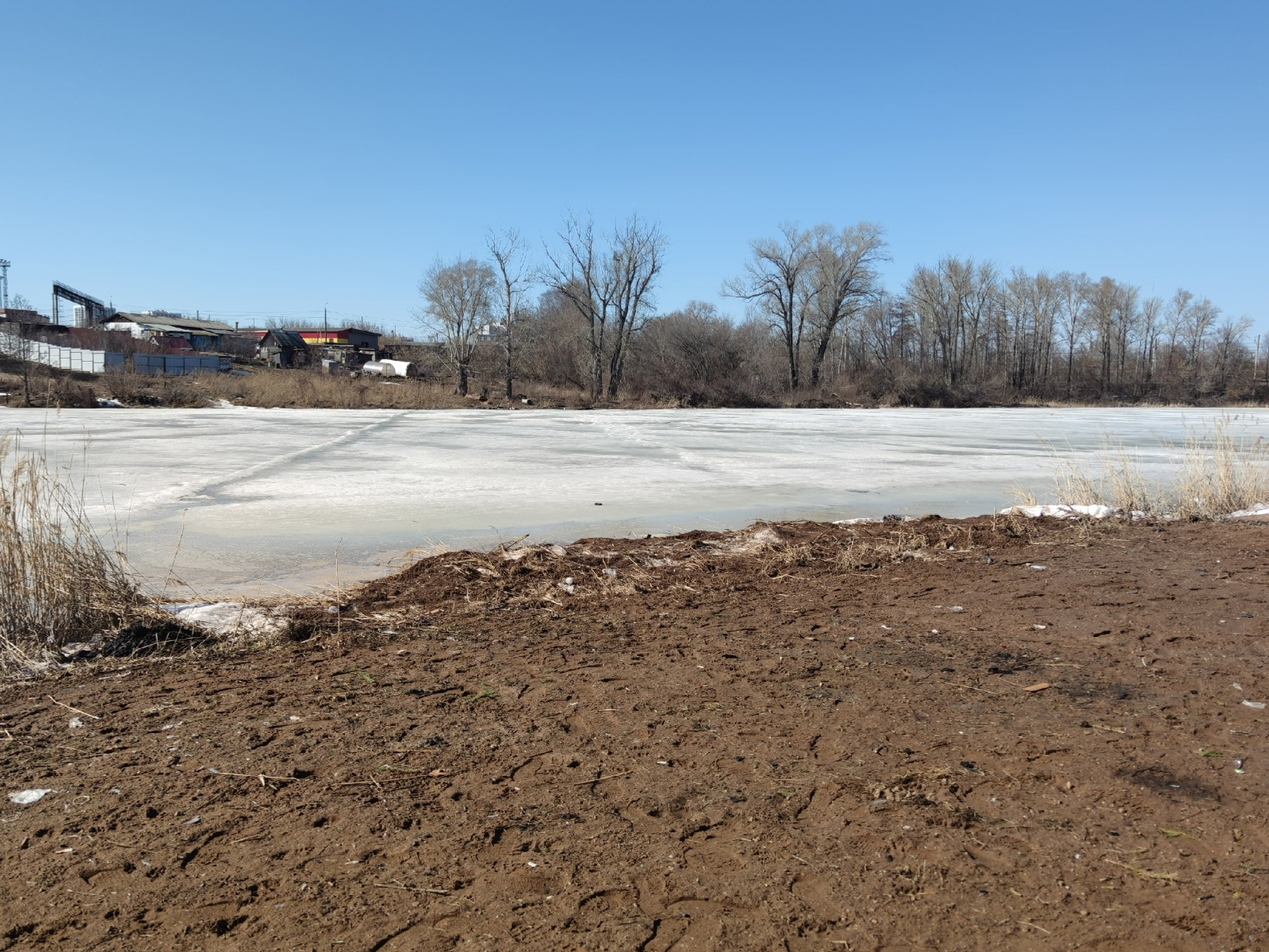 Дарьи Святохиной. «Общественная электронная газета».