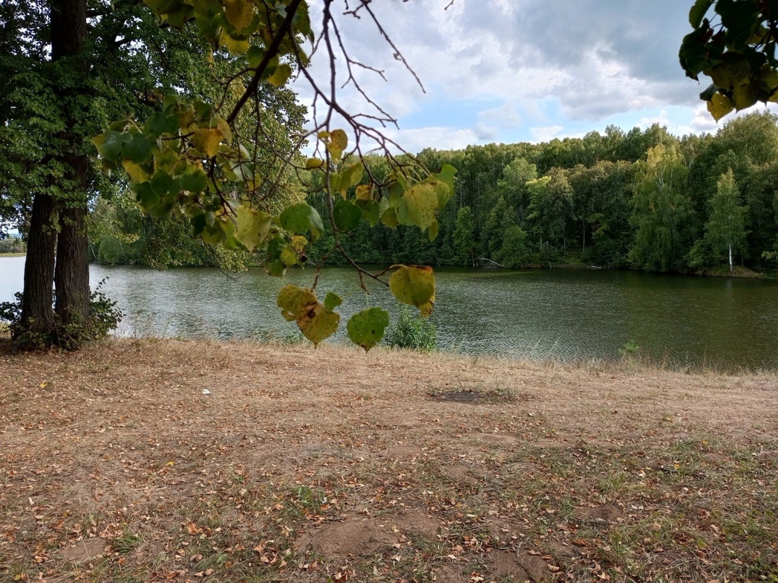 Евгении Сюткиной.