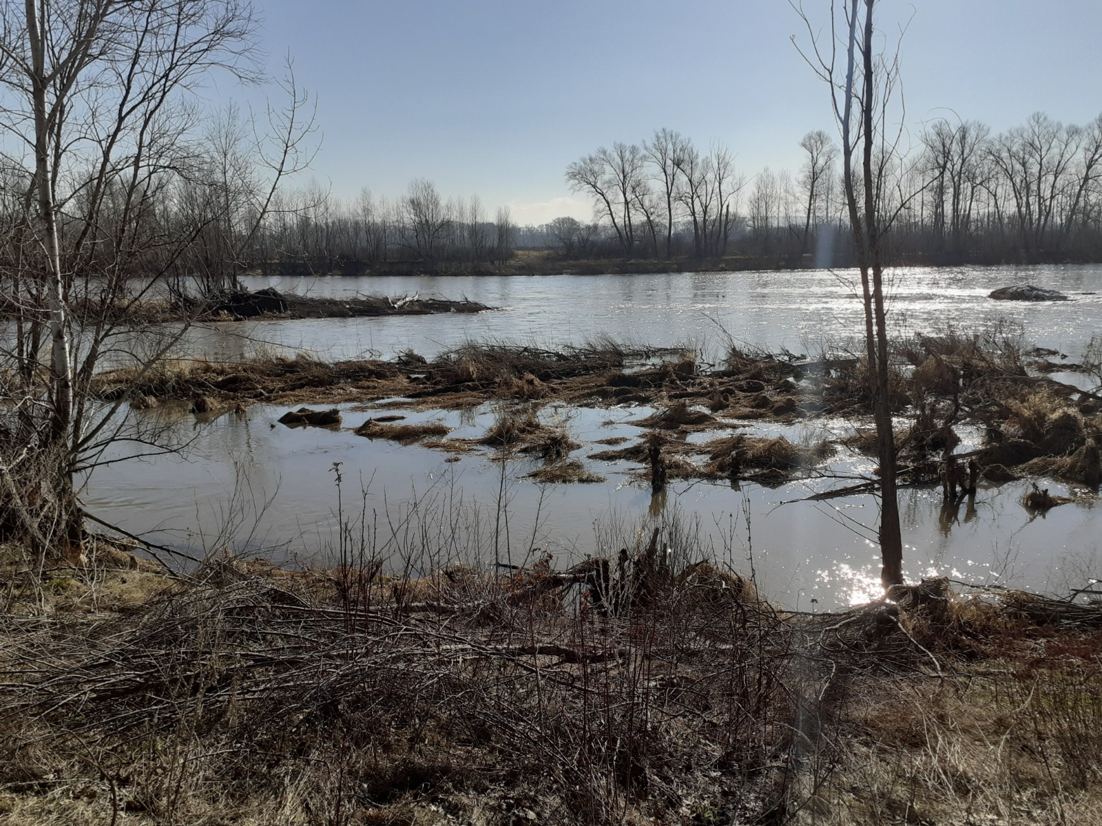 Владимира Шакиева. «Общественная электронная газета».