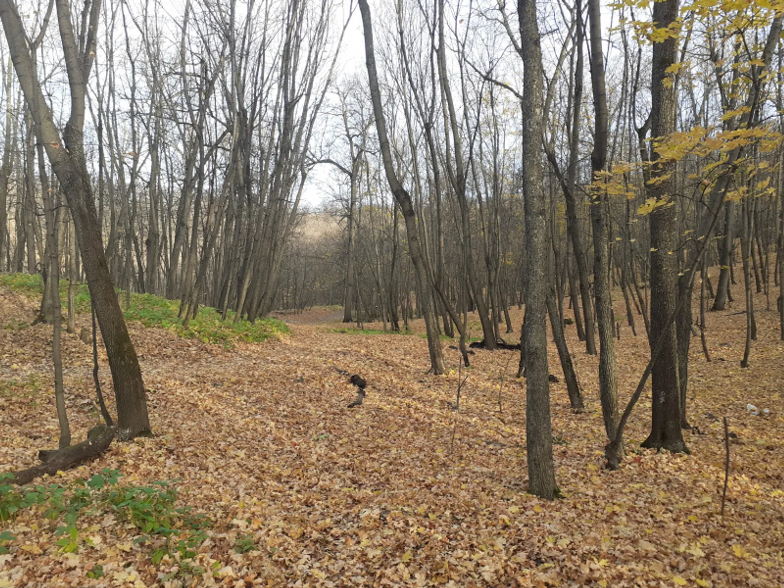 Фото Елены Колоколовой.