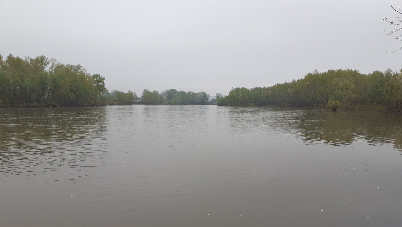 Владимира Шакиева.