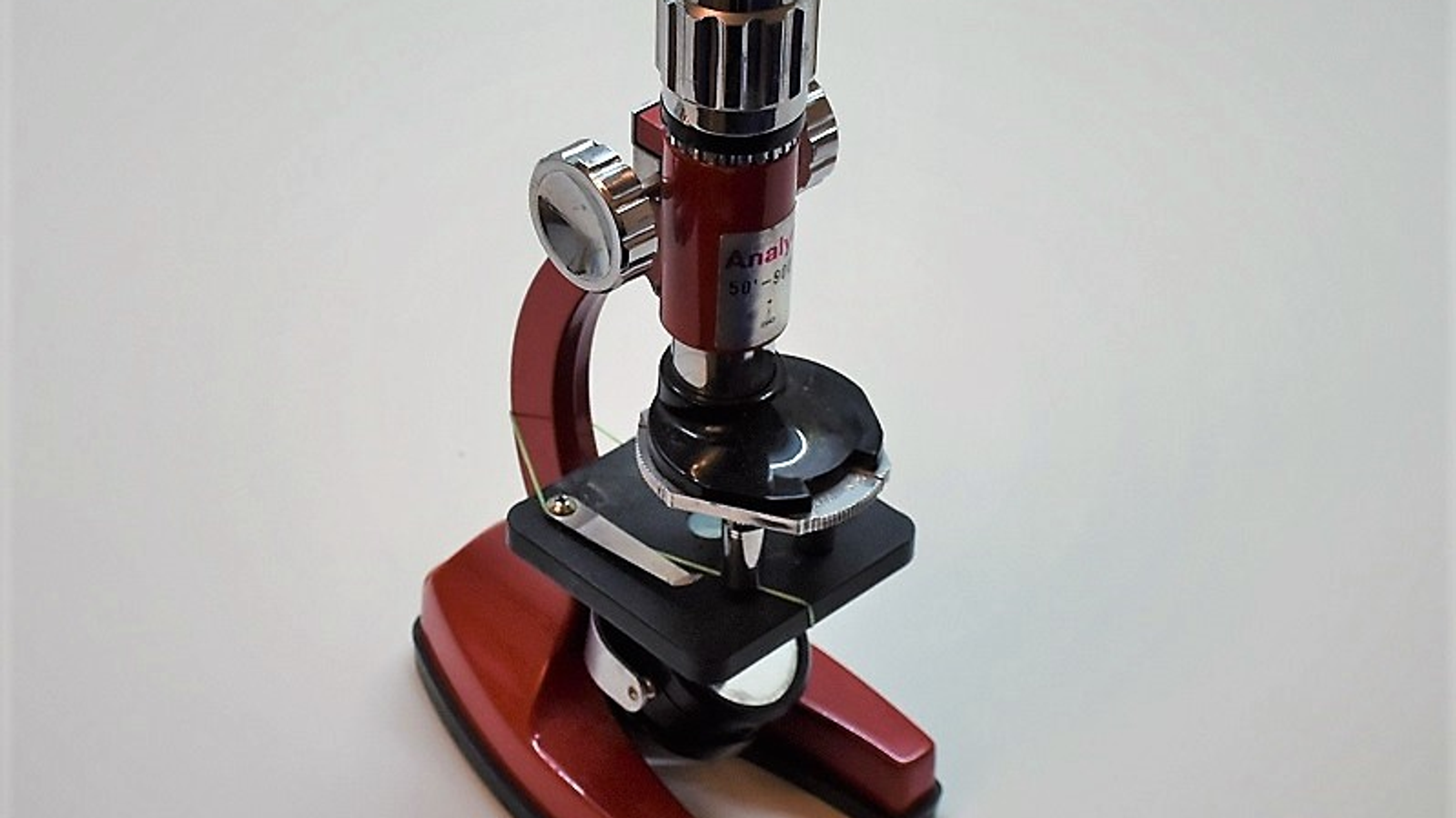 Фото Васили Саитовой.