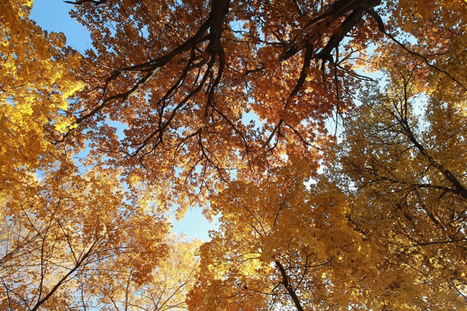 Фото Олега Яровикова.