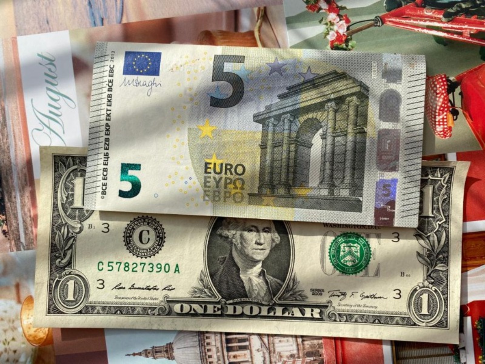 Елены Колоколовой.