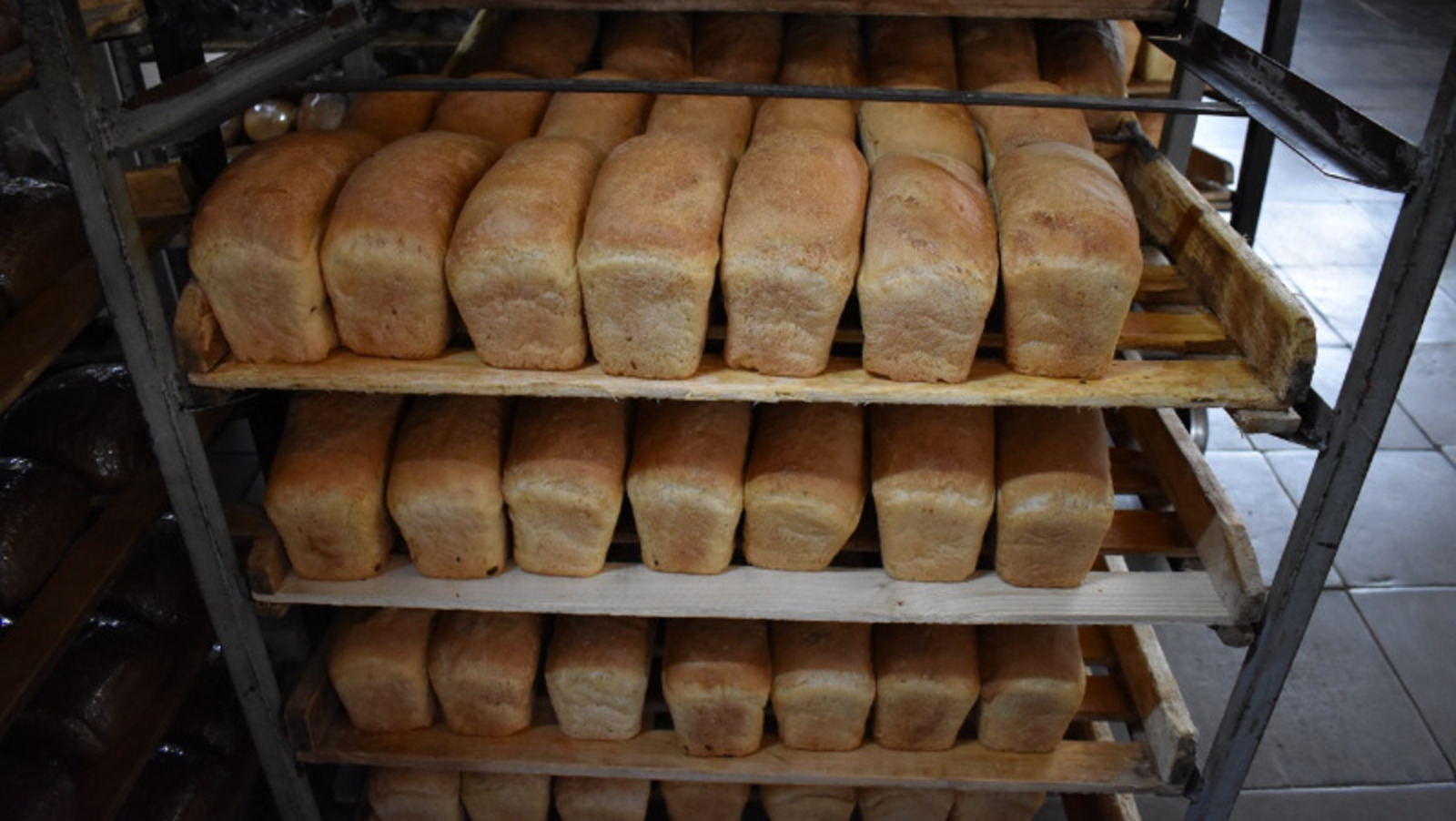 Елены Колоколовой.